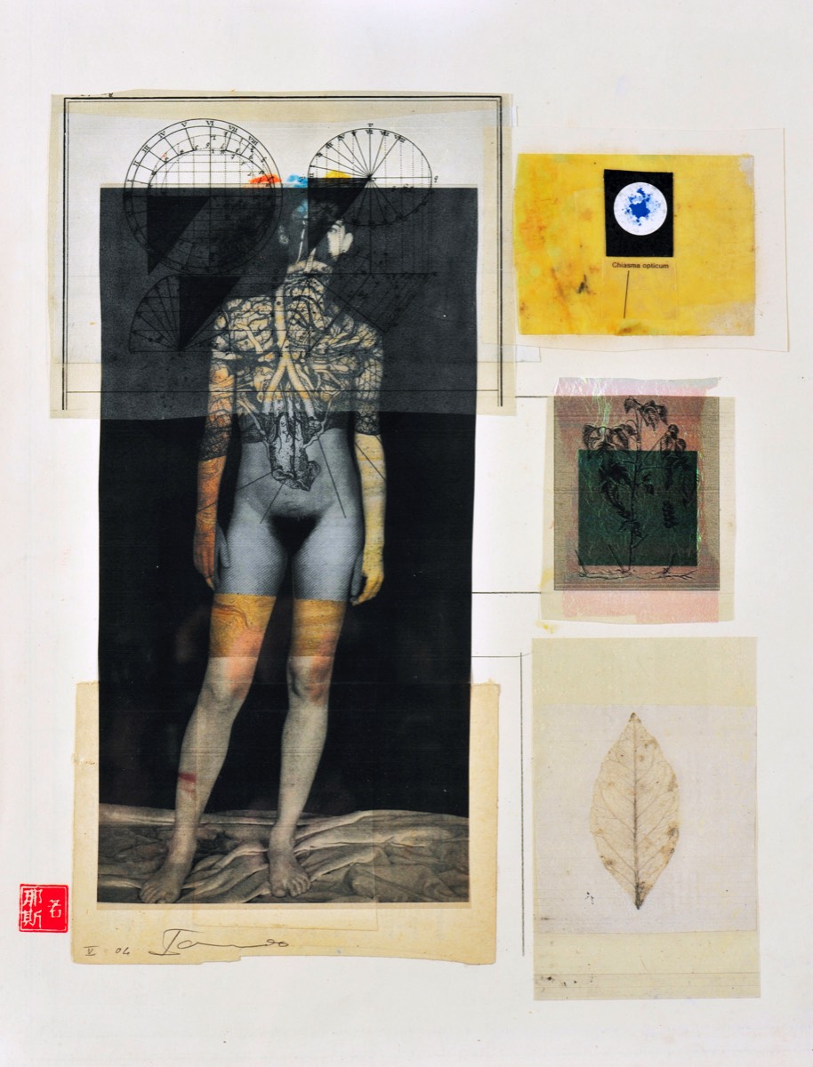 Nue 2, 2004 - 44 x 34 cm