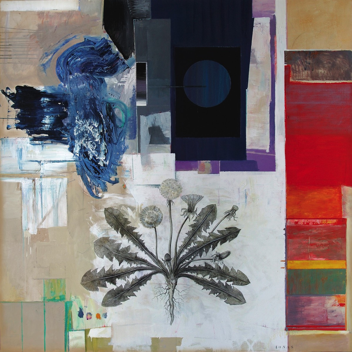 Pissenlit, fleur, feuille, racine, 2004 - 200 x 200 cm