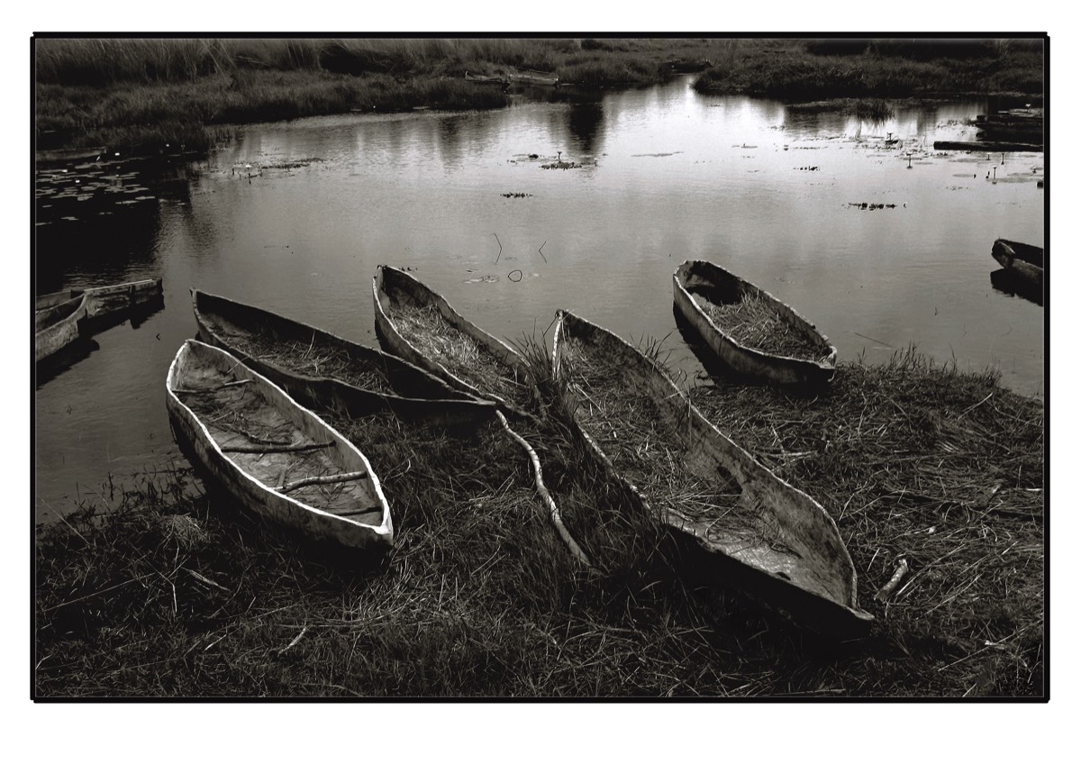 Barques Botswana morocos, 2009