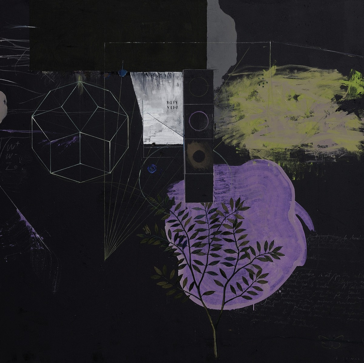 Diev vide, 2007 - 200 x 200 cm